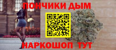 шишки Жуковский