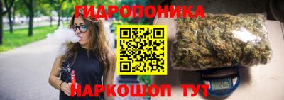 шишки Жуковский