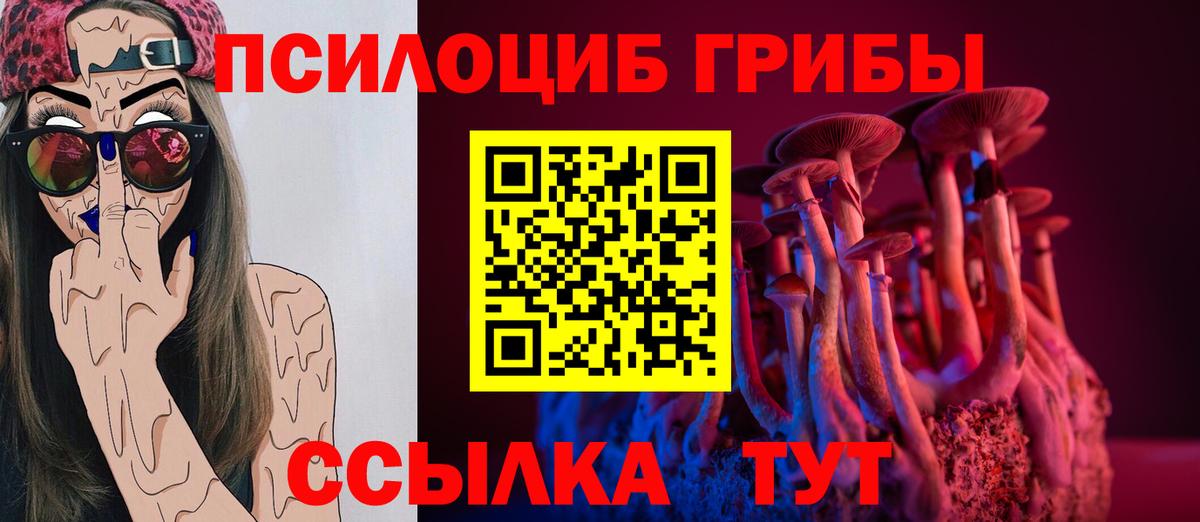 Лесозаводск  Псилоцибиновые грибы Psilocybine cubensis  Вход с VPN  Псилоцибиновые грибы мухоморы 